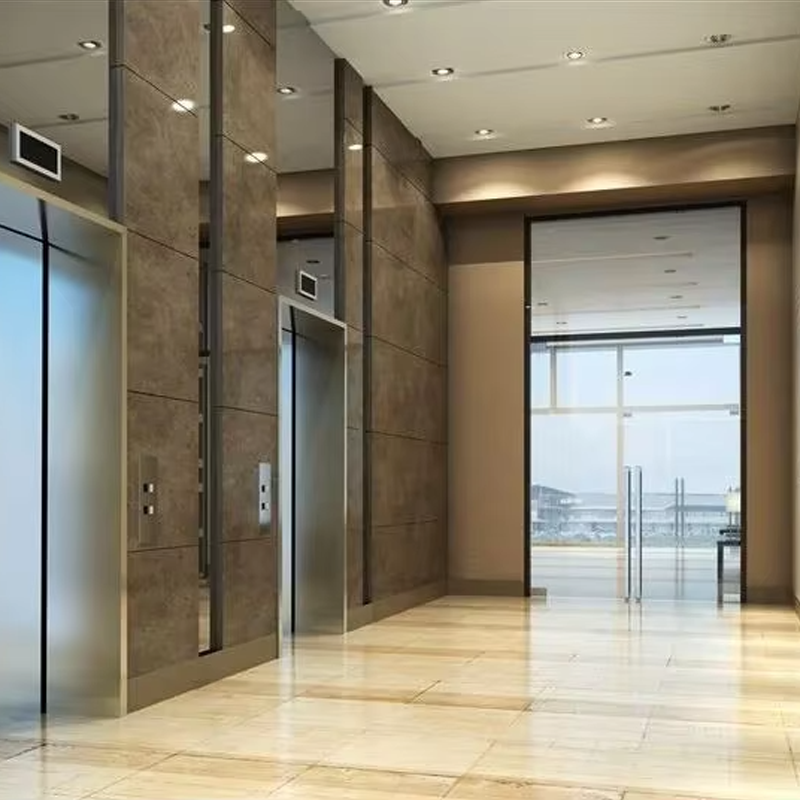 VTEP105 Ascensores Luxus-Personenaufzüge für Privathaushalte, getriebelose Klimaanlage, leise, effizient und stilvoll, PVC