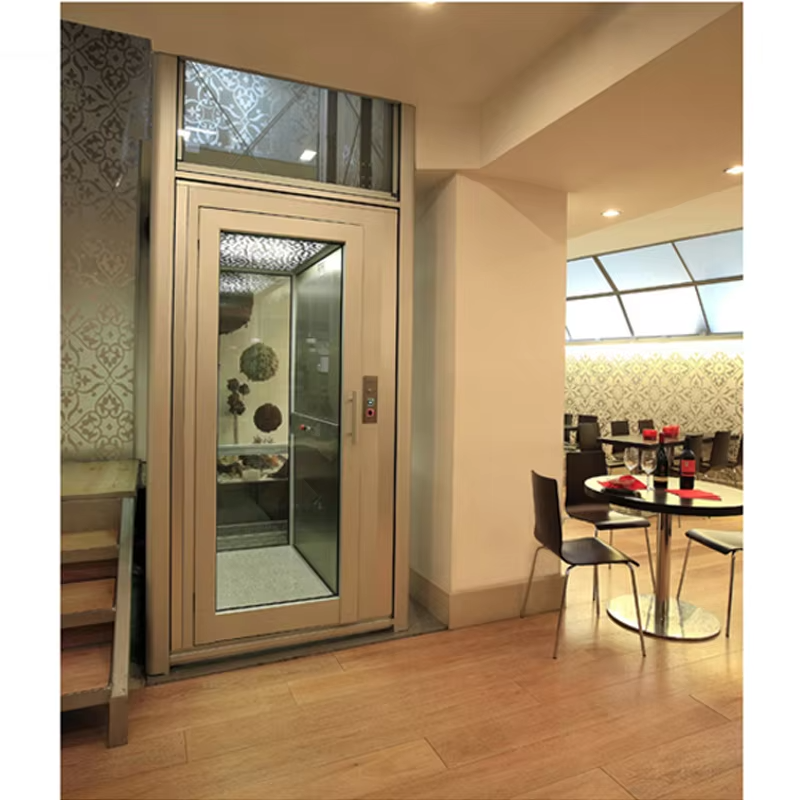 VTEV101 Ascensores Elevadores Schöner Design-Villenaufzug für modernen Dekorationsstil