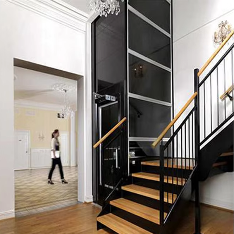 VTEV104 Ascensores Elevadores Luxuriöser Villa-Aufzug aus Edelstahl für den Familiengebrauch