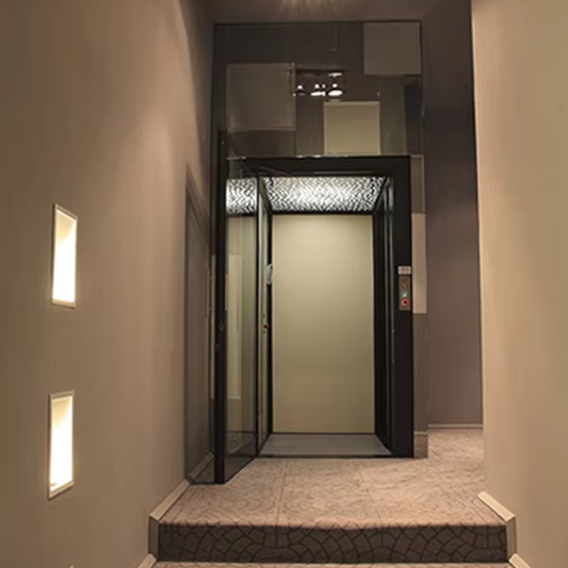 VTEV104 Ascensores Elevadores Luxuriöser Villa-Aufzug aus Edelstahl für den Familiengebrauch