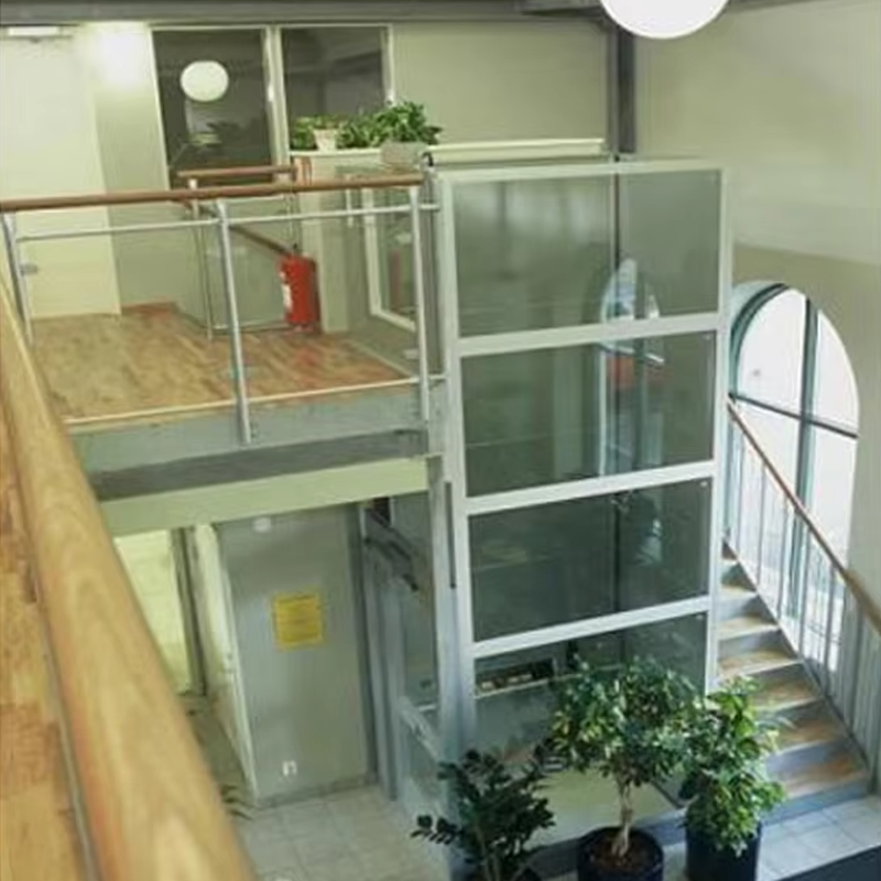 VTEV105 Ascensores Elevadores Maßgeschneiderter Kabinen-Villa-Aufzug für die Innendekoration