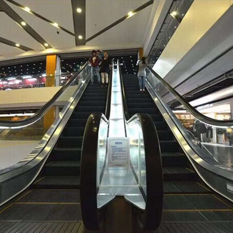 VTES102 0,5 m_s Geschwindigkeitsaufzug, Rolltreppe und Fahrsteige für den Außenbereich zum Fabrikpreis