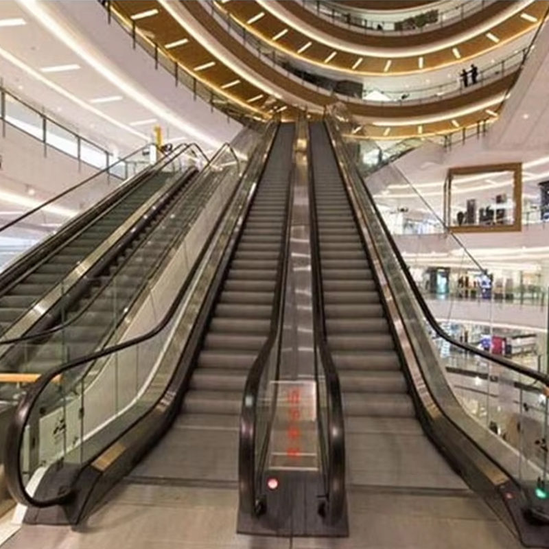 VTES102 0,5 m_s Geschwindigkeitsaufzug, Rolltreppe und Fahrsteige für den Außenbereich zum Fabrikpreis