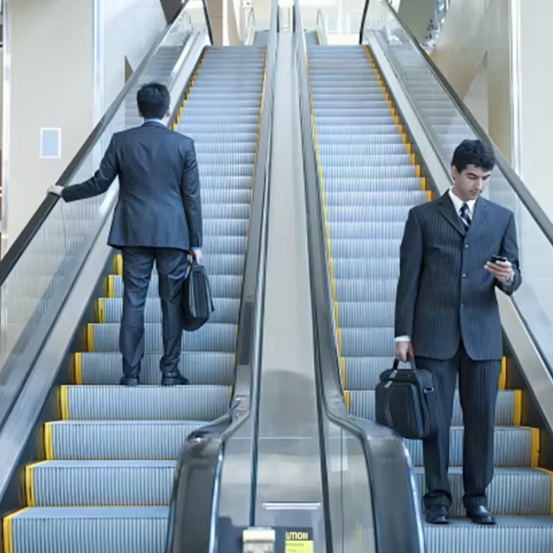 VTES102 0,5 m_s Geschwindigkeitsaufzug, Rolltreppe und Fahrsteige für den Außenbereich zum Fabrikpreis