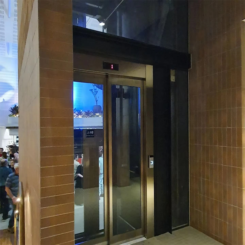 VTEP119 Ascensores Personenaufzüge Getriebelose Klimaanlage für mehrstöckige Gebäude ISO9001-zertifizierter Edelstahl Einfache Installation