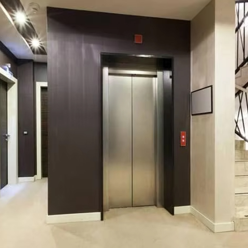 VTEP123 Luxus-Personenaufzug mit getriebelosem AC-Antrieb und Panorama-Design