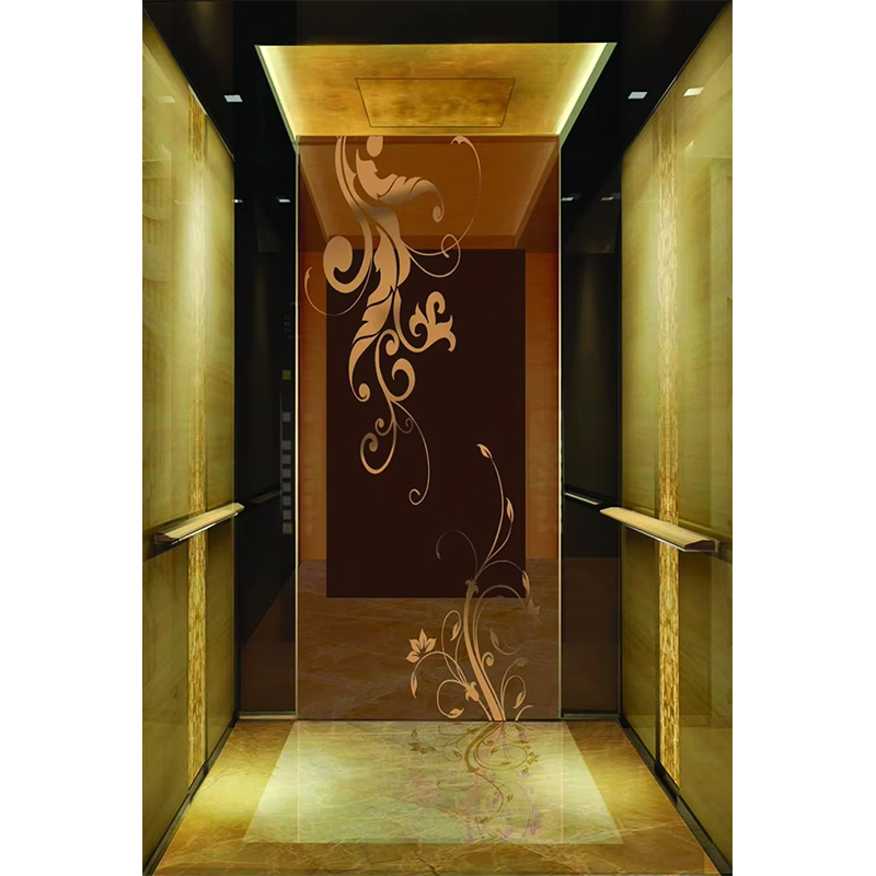 VTSP133 Luxus-Hotelaufzugskabine mit hochwertigem Edelstahl, zeitgenössisches Design, individuelle Farbe, 1 Jahr Garantie