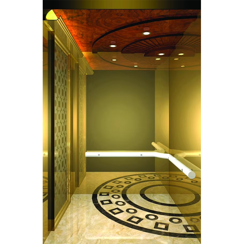 VTSP133 Luxus-Hotelaufzugskabine mit hochwertigem Edelstahl, zeitgenössisches Design, individuelle Farbe, 1 Jahr Garantie