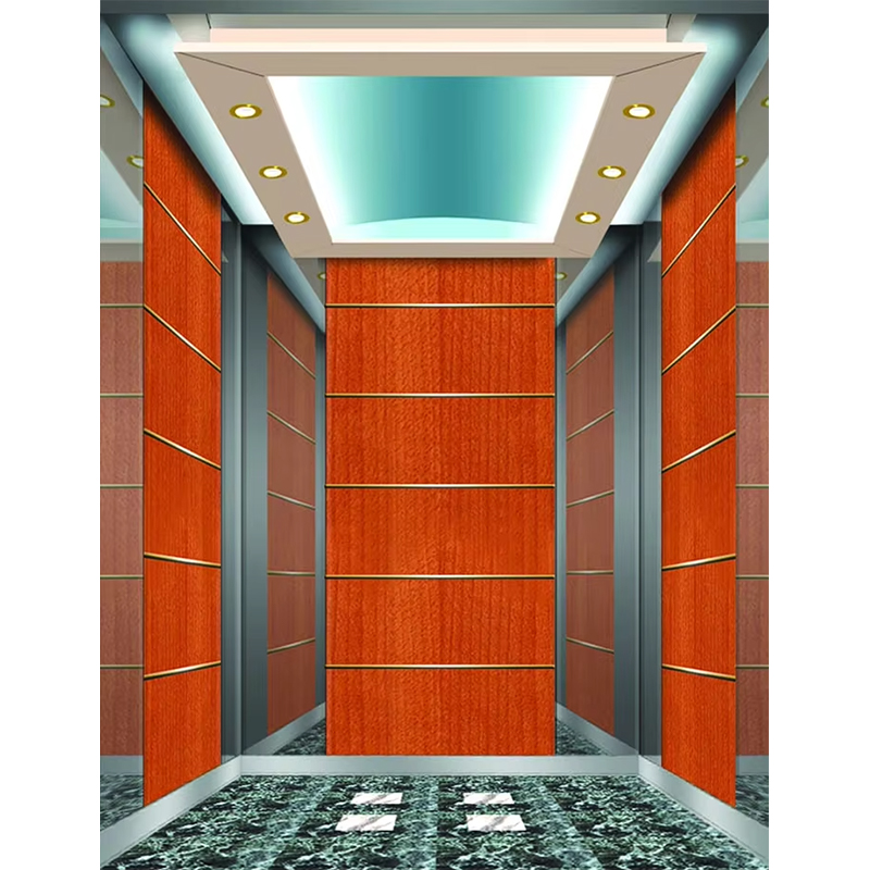 VTSP133 Luxus-Hotelaufzugskabine mit hochwertigem Edelstahl, zeitgenössisches Design, individuelle Farbe, 1 Jahr Garantie