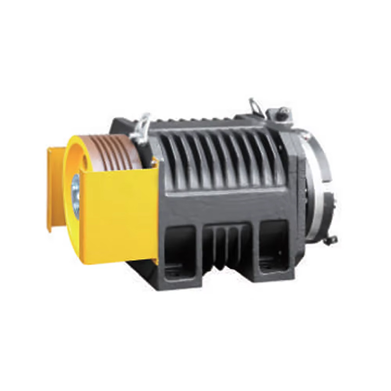 VTSP248 Getriebelose TraktionsmaschineMona Lift Motor 320-1000KGS Aufzugsmotor