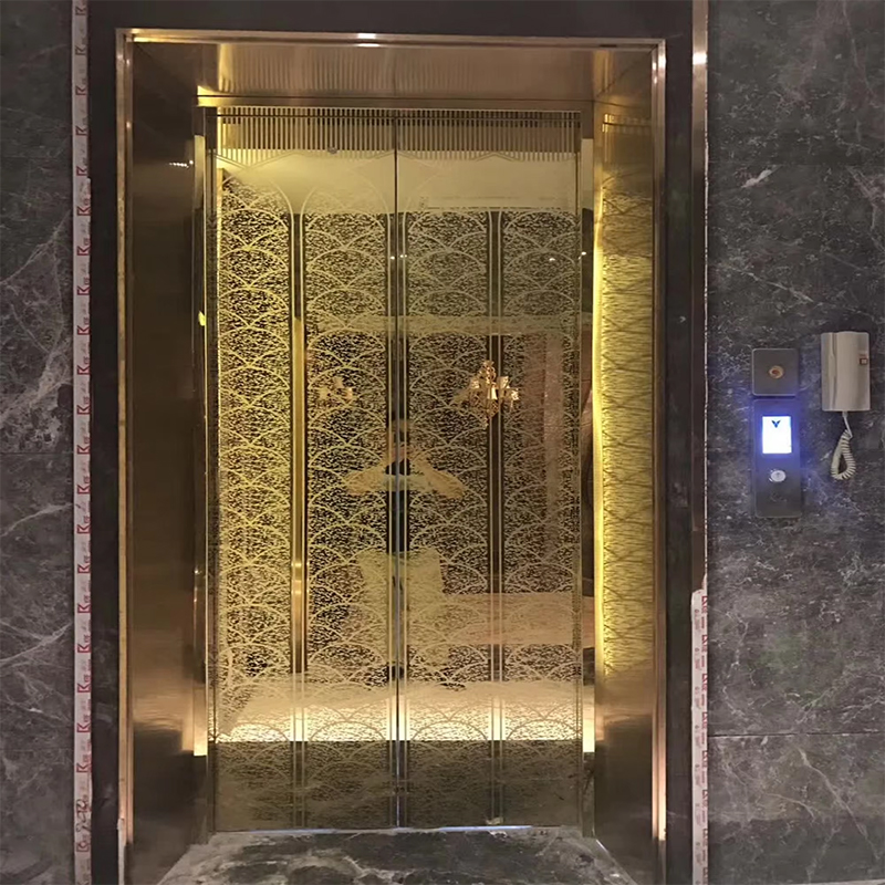 VTSP136 Aufzugsteile und Zubehör, Personenaufzugskabine mit LED-Beleuchtung und Premium-Dekoration