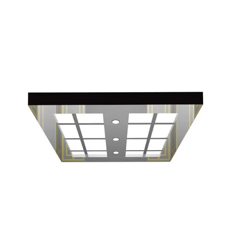 VTSP138 Aufzugsmodernisierungsteile Kundenspezifische Aufzugsdecke LED-Beleuchtungsspiegel Edelstahl-Aufzugsdecke